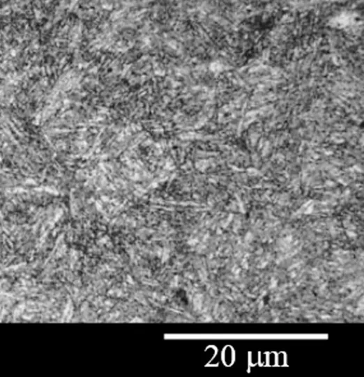 Micrografia em escala de cinza da seção de um aço inoxidável martensítico AISI 420, com escala de 20 micrômetros indicada