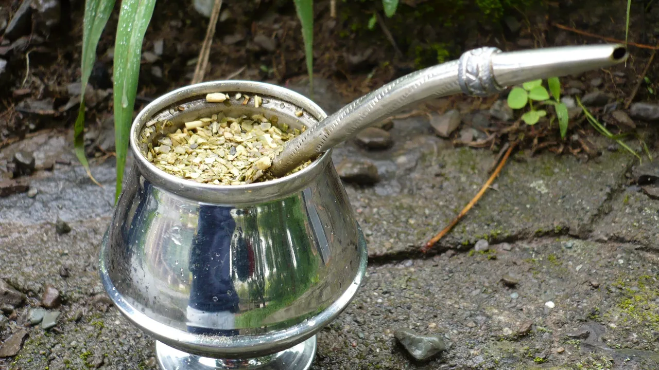 Mate de metal prateado com bombilha metálica espetada na erva, apoiado sobre uma pedra molhada, com vegetação verde ao fundo.