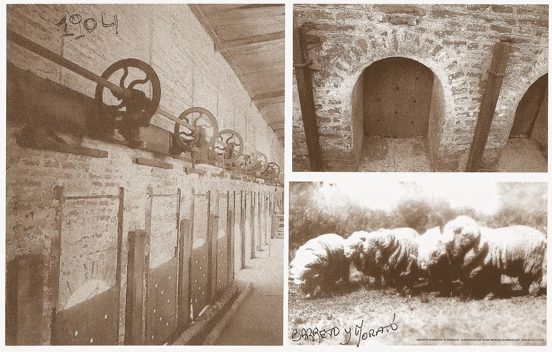 Fotografia de 1904 de um galpão de tosquia no Uruguai, com uma fileira de polias de ferro presas a um eixo no alto da parede de tijolos e baias de madeira embaixo