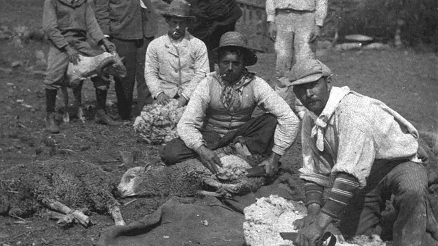 Fotografia de 1904, no Uruguai: dois tosquiadores agachados sobre ovelhas deitadas numa lona, tesoura na mão, enquanto cinco homens de chapéu e lenço no pescoço posam de pé atrás, um deles segurando um carneiro.